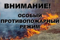 О введении особого противопожарного режима на территории муниципального образования сельского поселения Унъюган